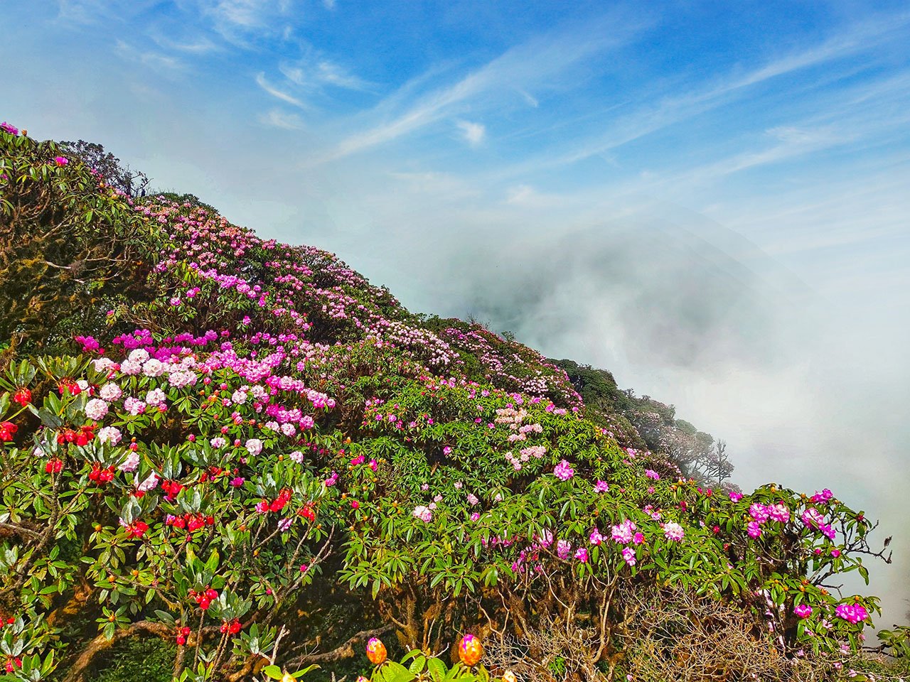 Northern Vietnam Hike Tour 7 Day